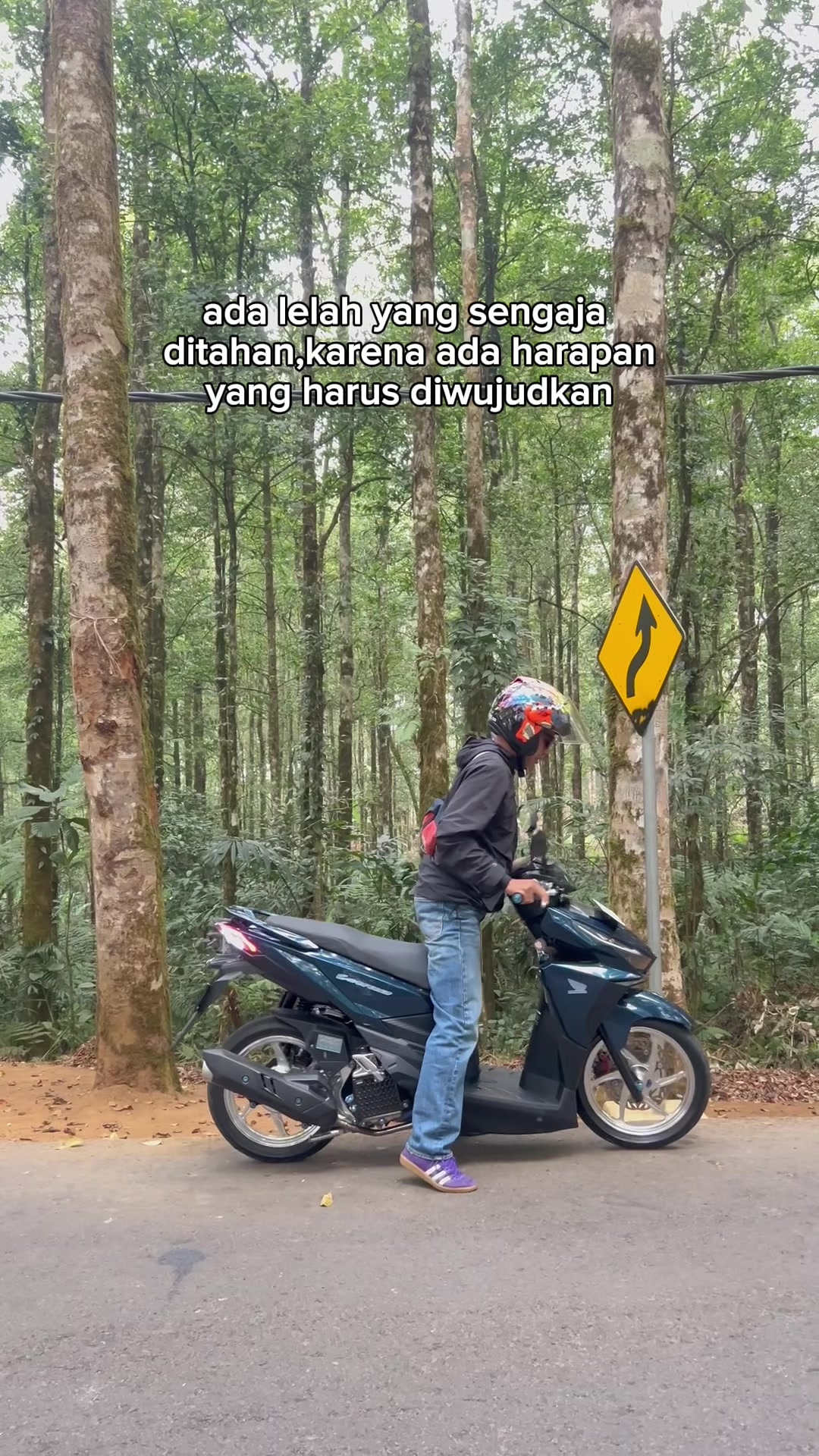 @Sigotik