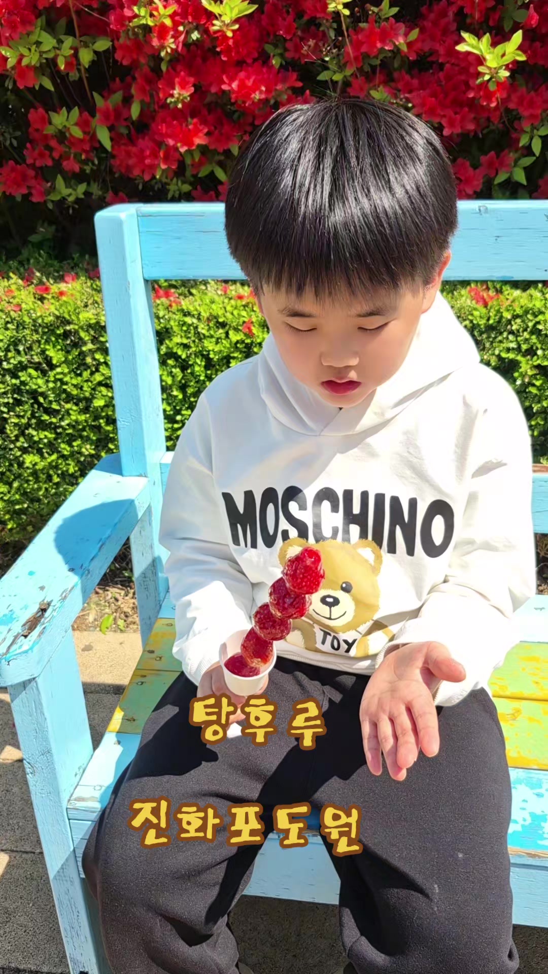 @진화포도원