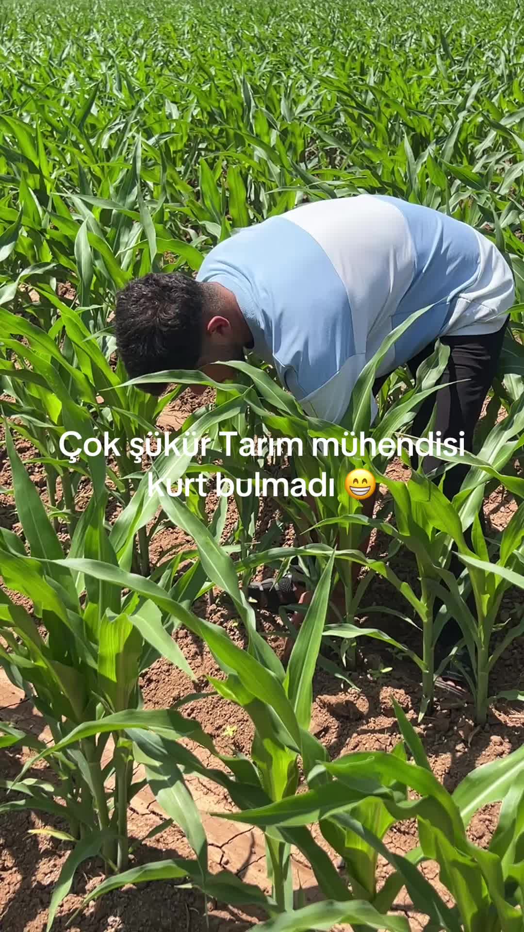 @🥷🏻ミ★𝐤𝐨𝐳𝐚𝐧 𝐛𝐞𝐲 ★彡🥷🏻
