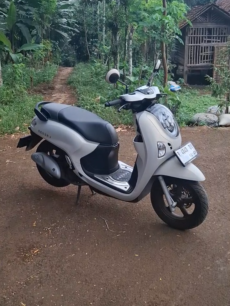 @Alia Motor