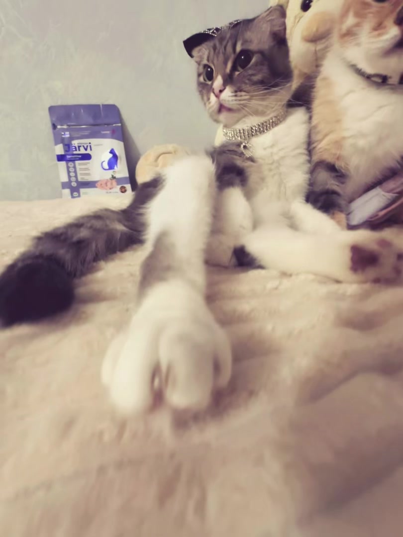 @Chloe 𝜗𝜚 Freya