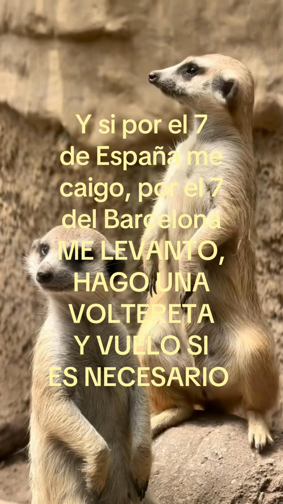 @Viol
