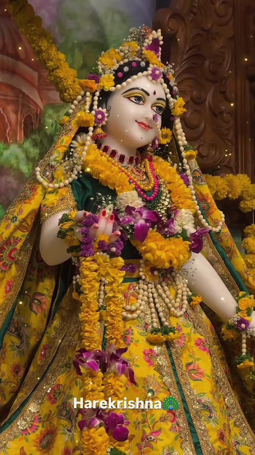 @Rish_DeVi