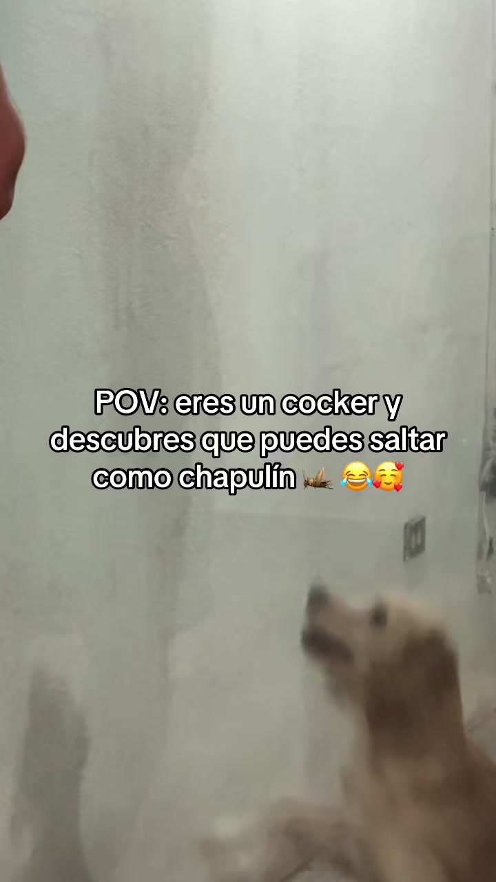 @Diana Salazar