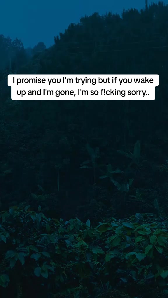 @🤍Ivan🤍