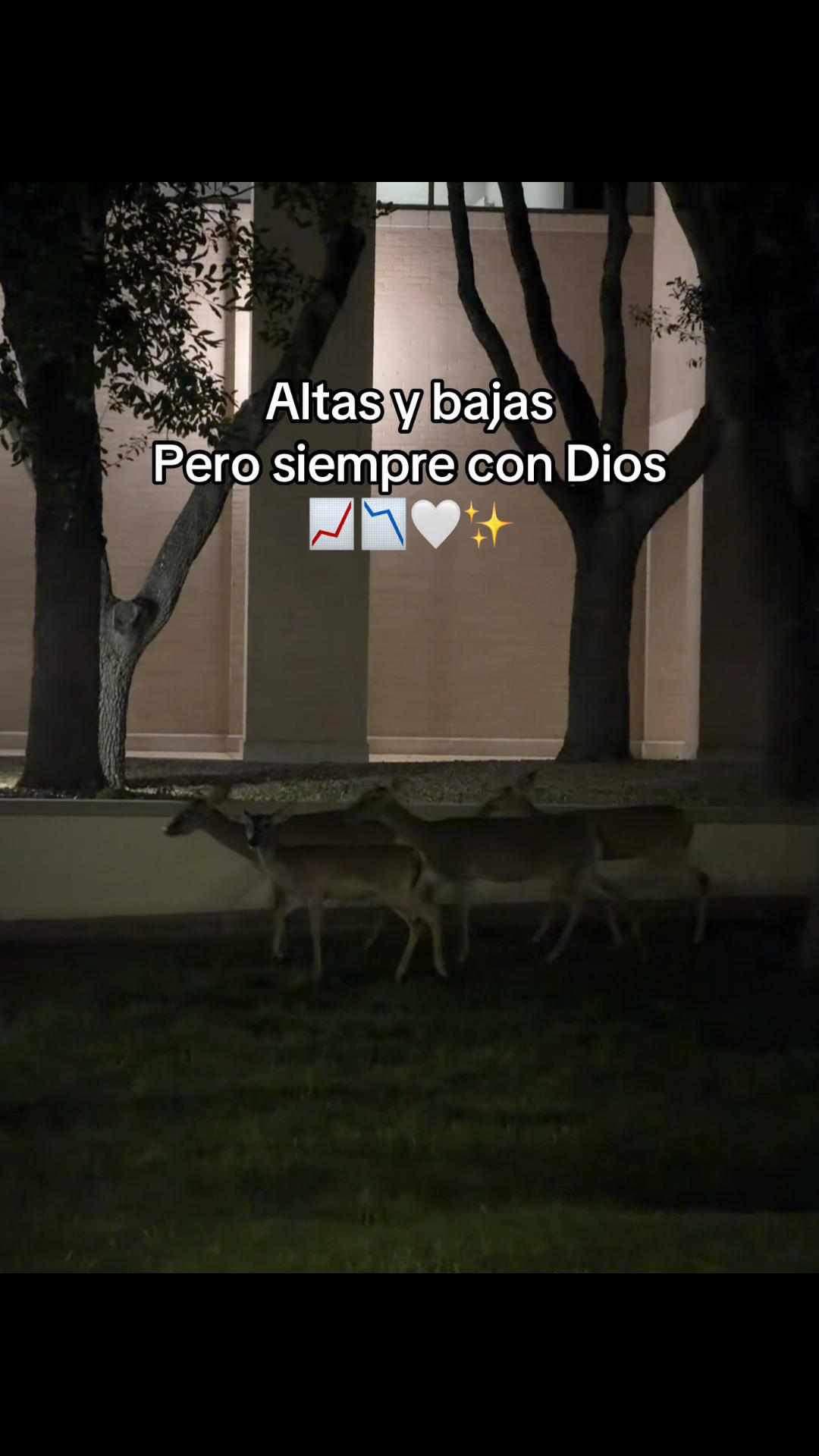 @Lizeth✨