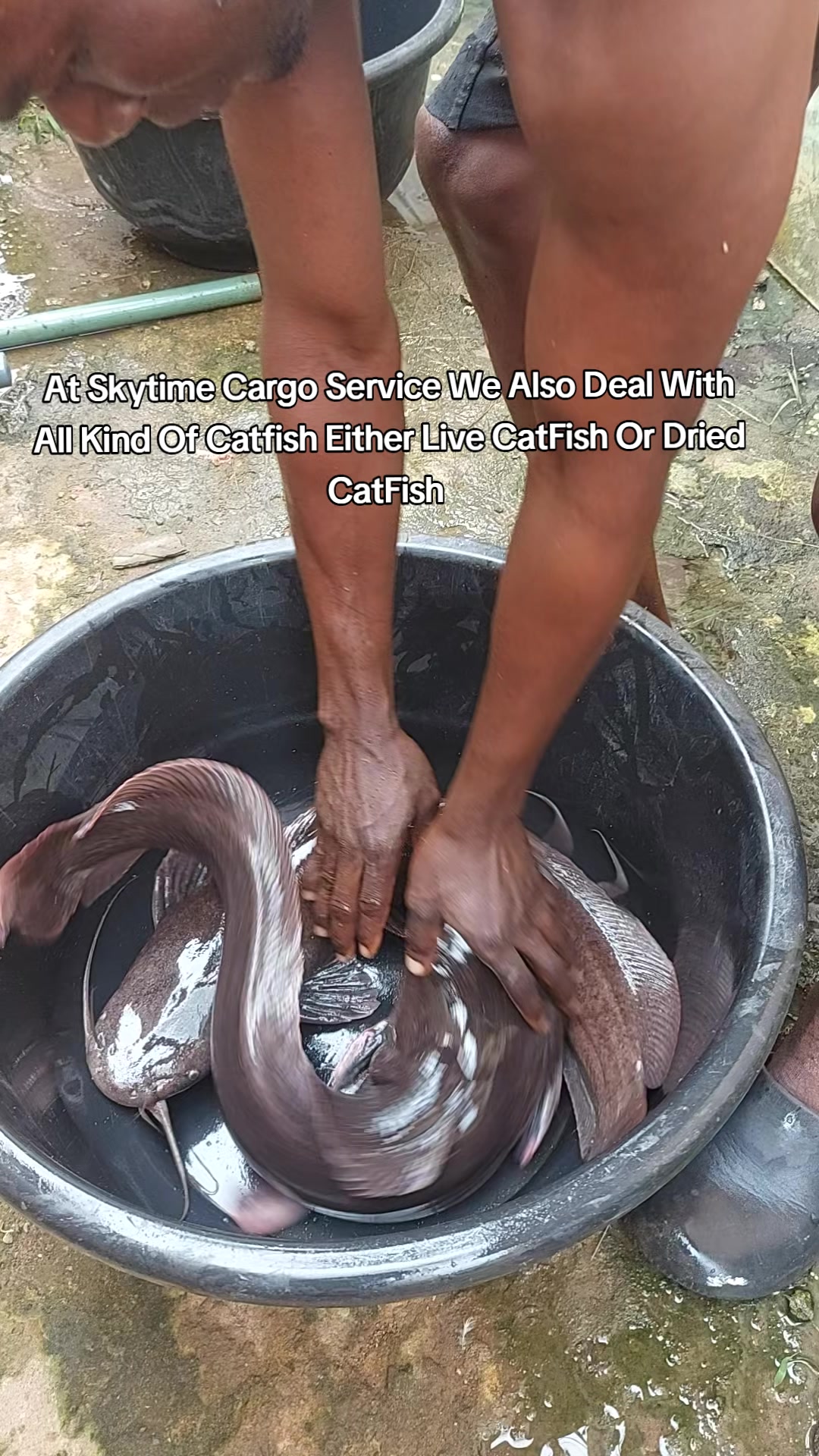 @Skytime Cargo Service Limited