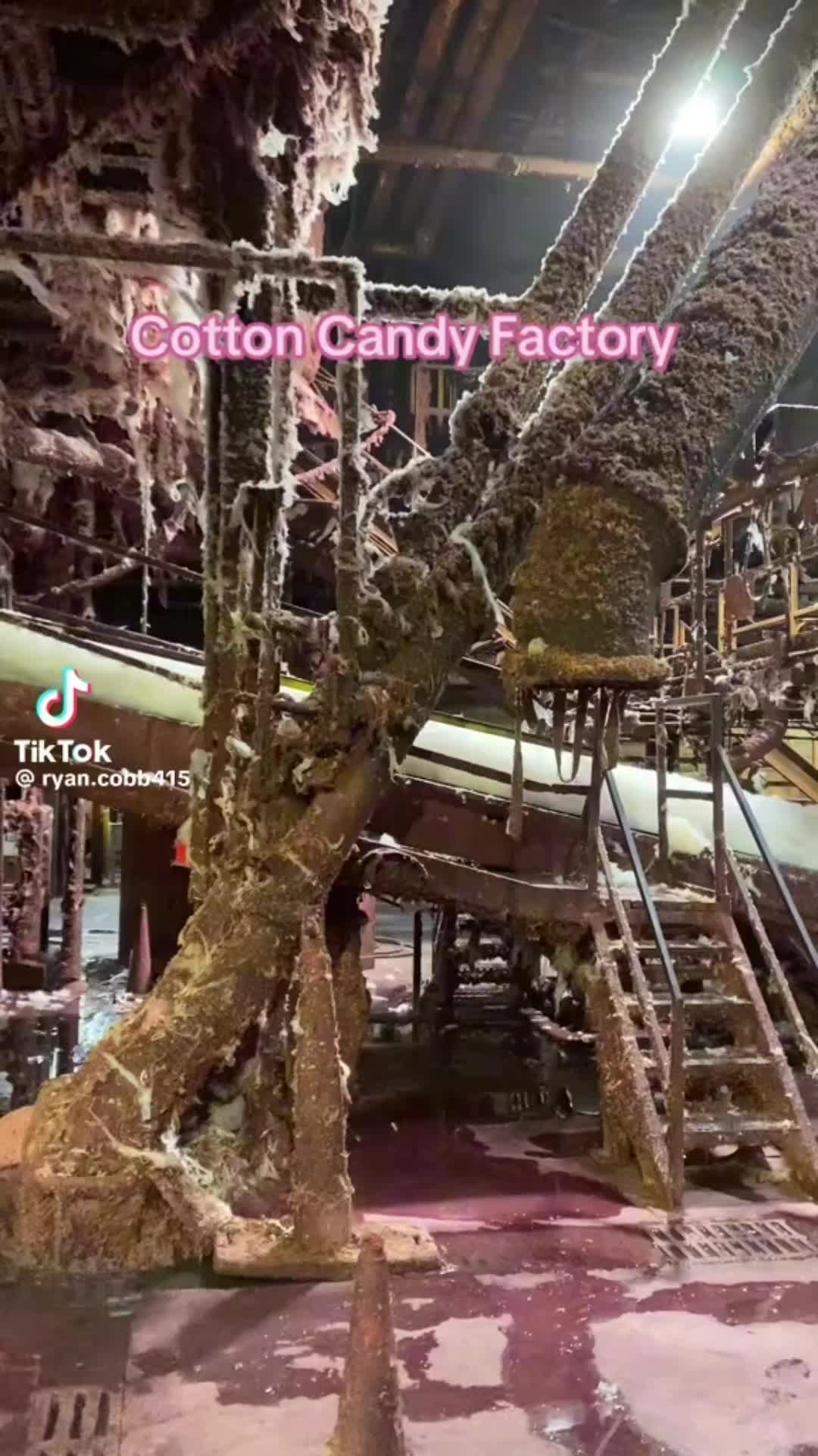 @KamiLott1212