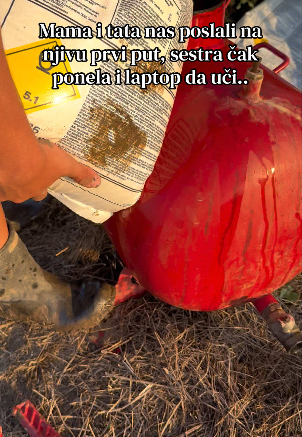 @vidić jellena