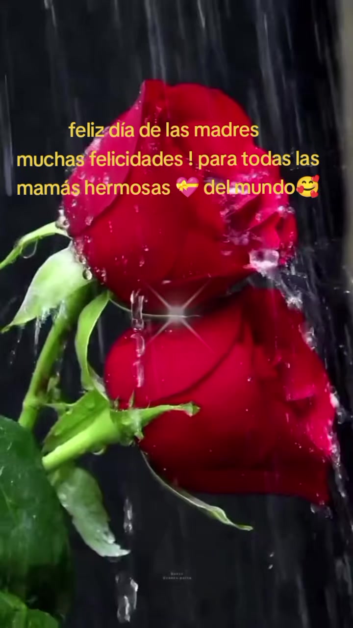 @Ver&oacute;nica 💛✨