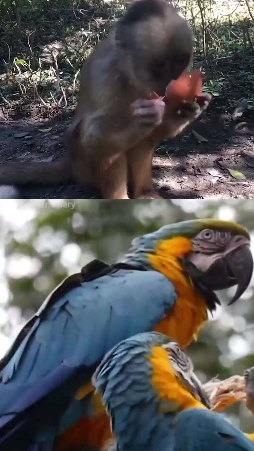 @EL EXPLAINER
