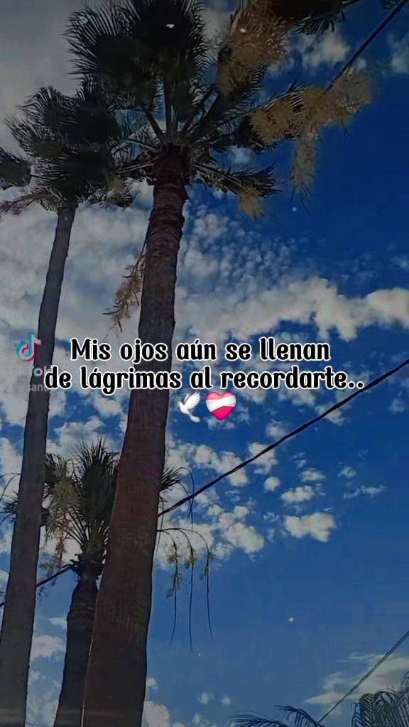 @&hearts;️Sandy .D&hearts;️
