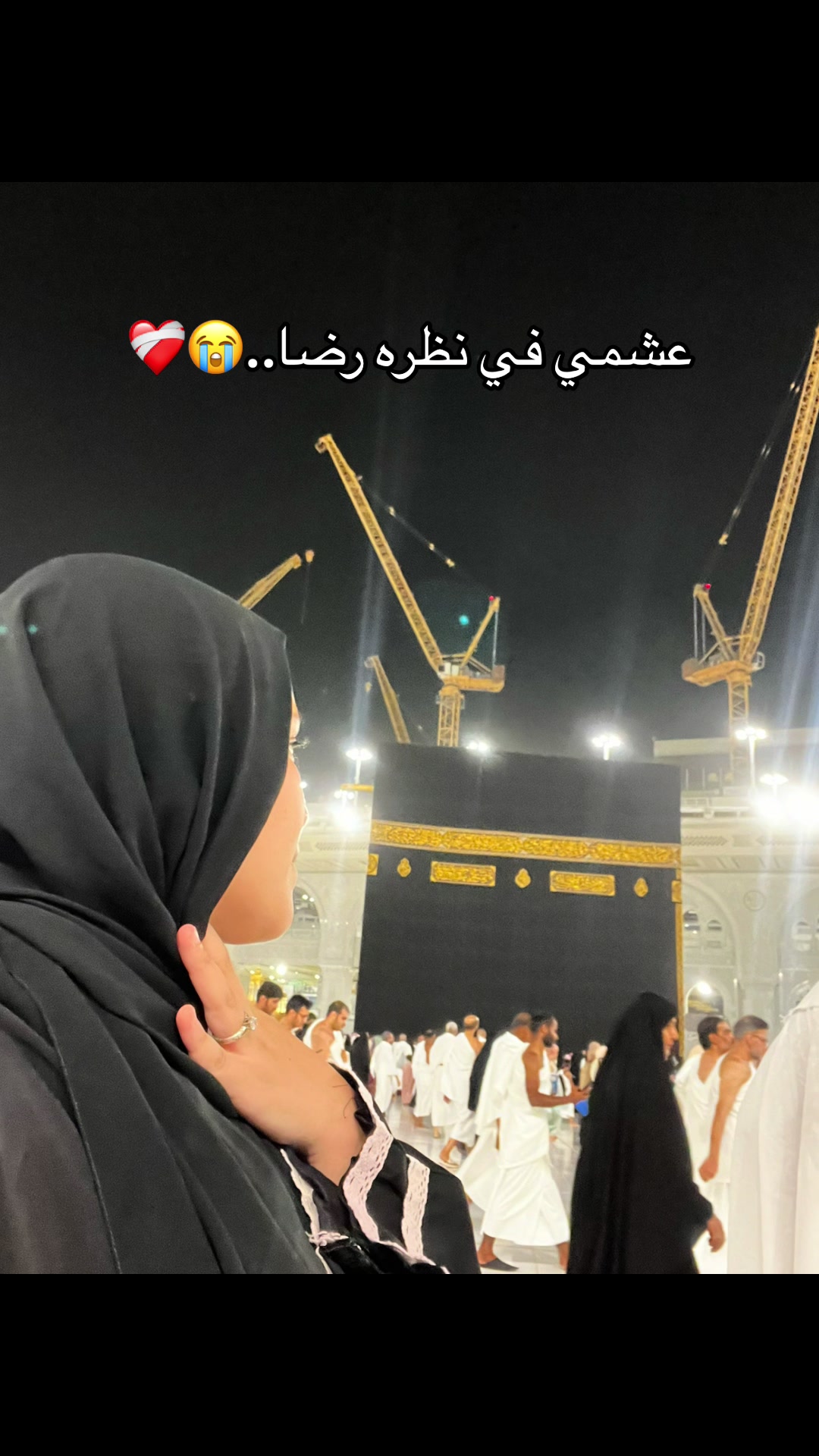 @Shahd sheta