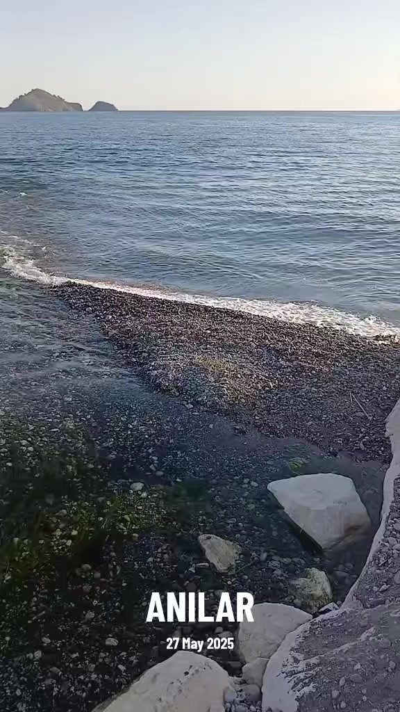 @G&uuml;ls&uuml;n 48