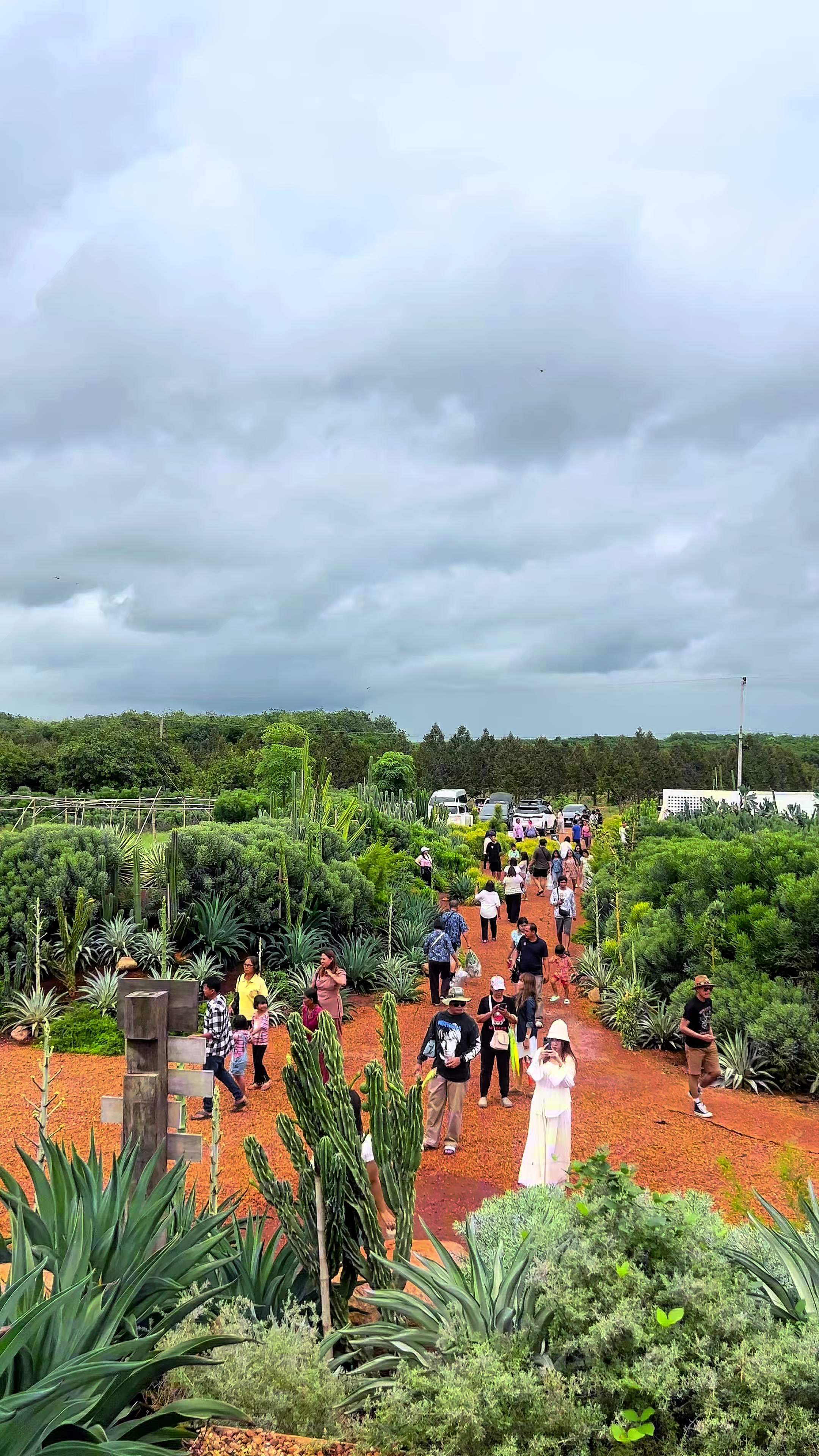 @ไร่วันยังขำ Oneyoungkham farm