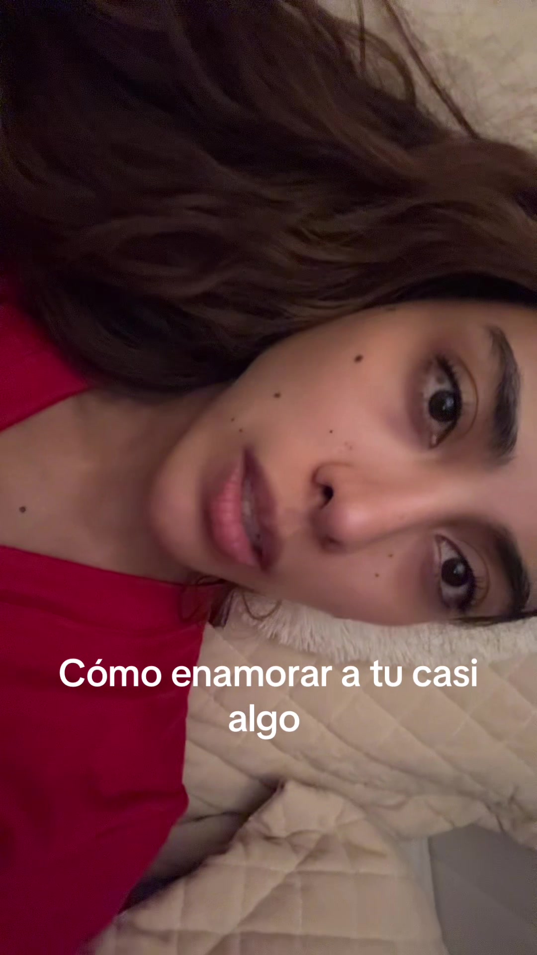 @sofilacuriosaa