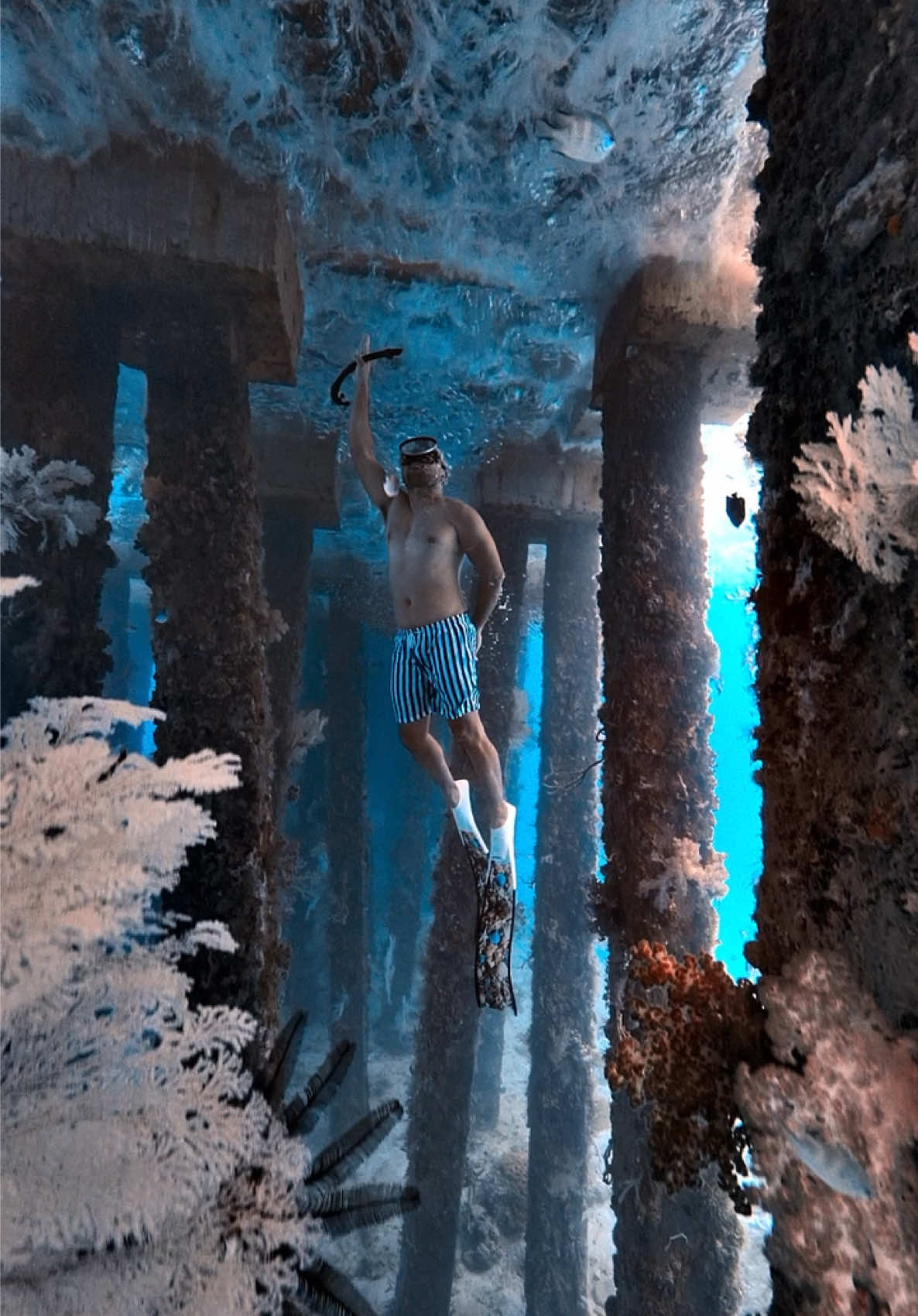 @@voltamazingfreediver