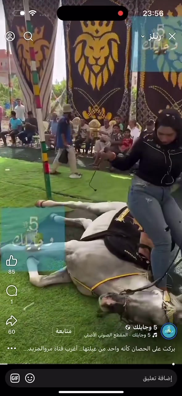 @الملكه شهد عبدالرحمن 🥇🐴&hearts;️