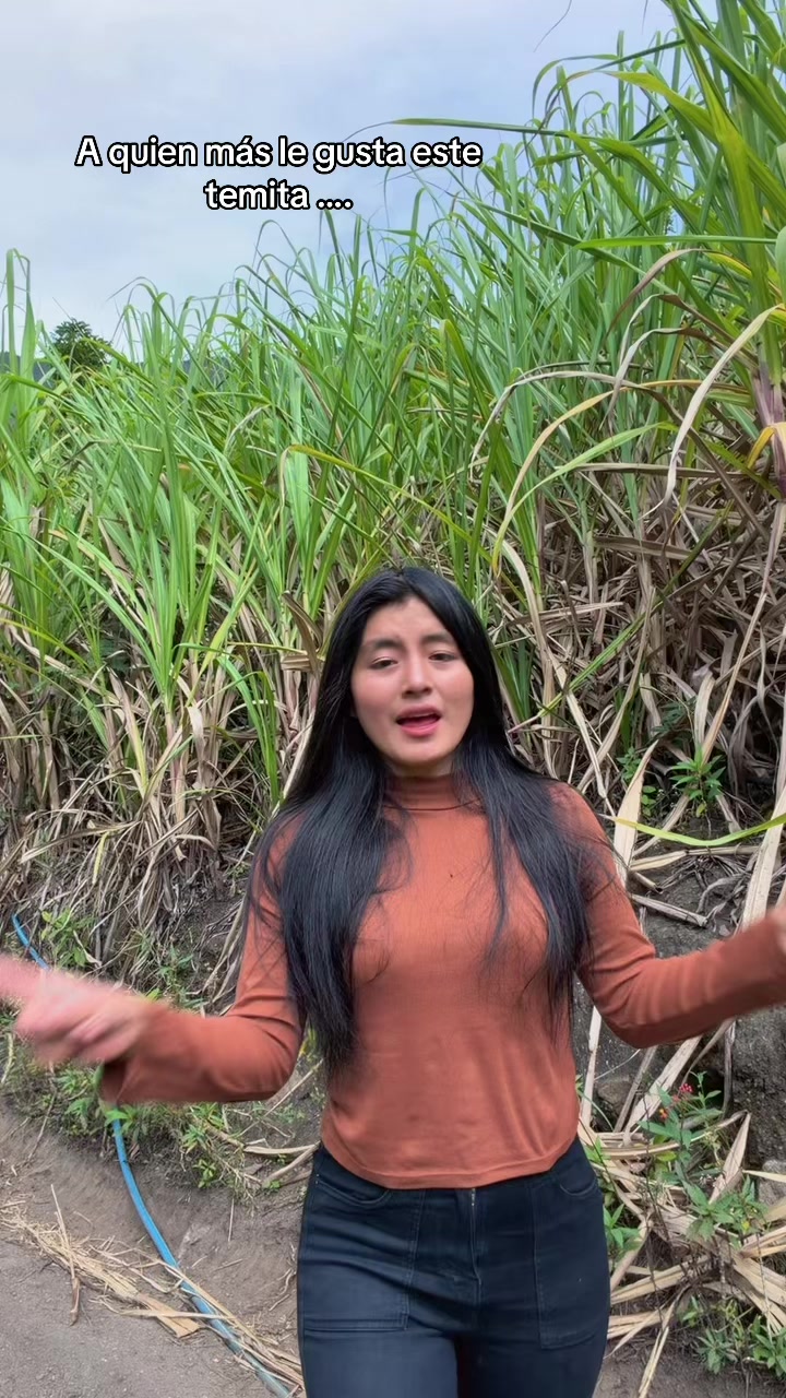 @Xiomi Santos