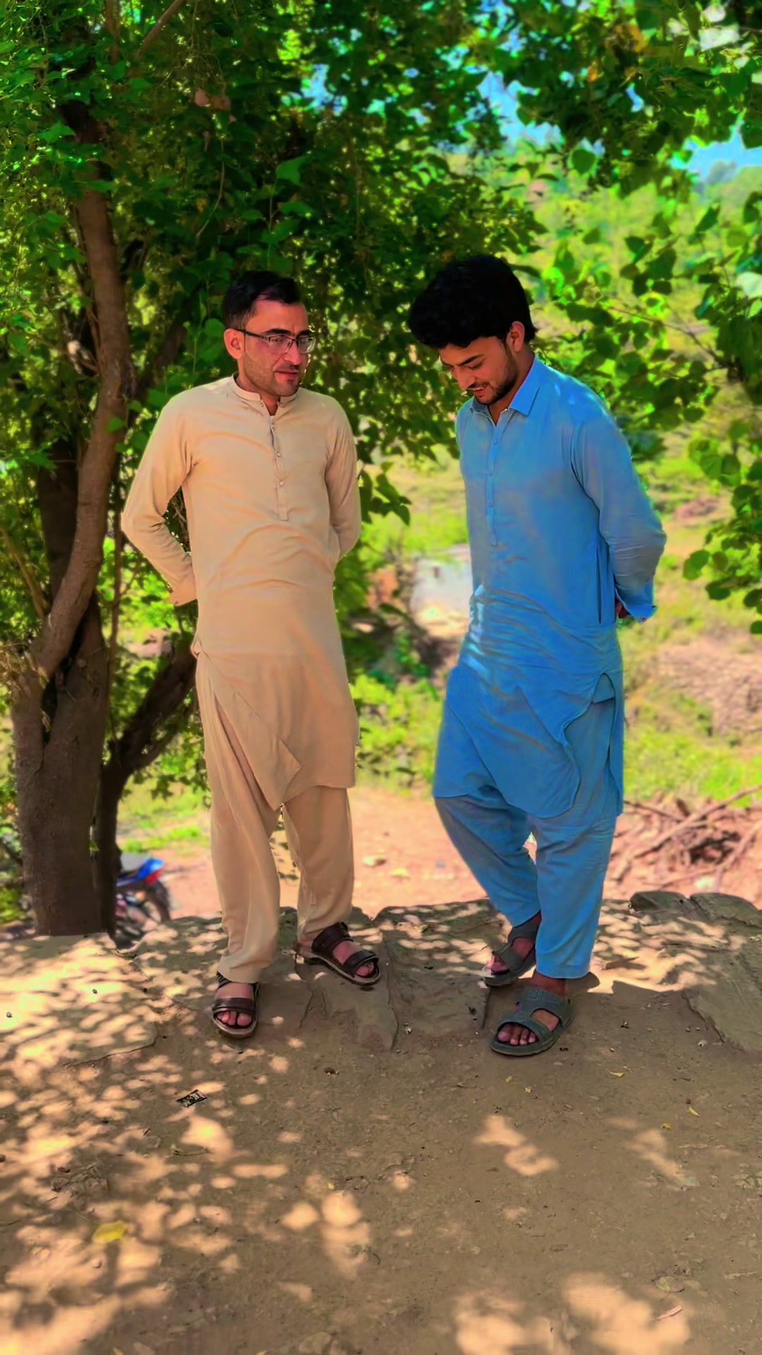 @شیرزمین