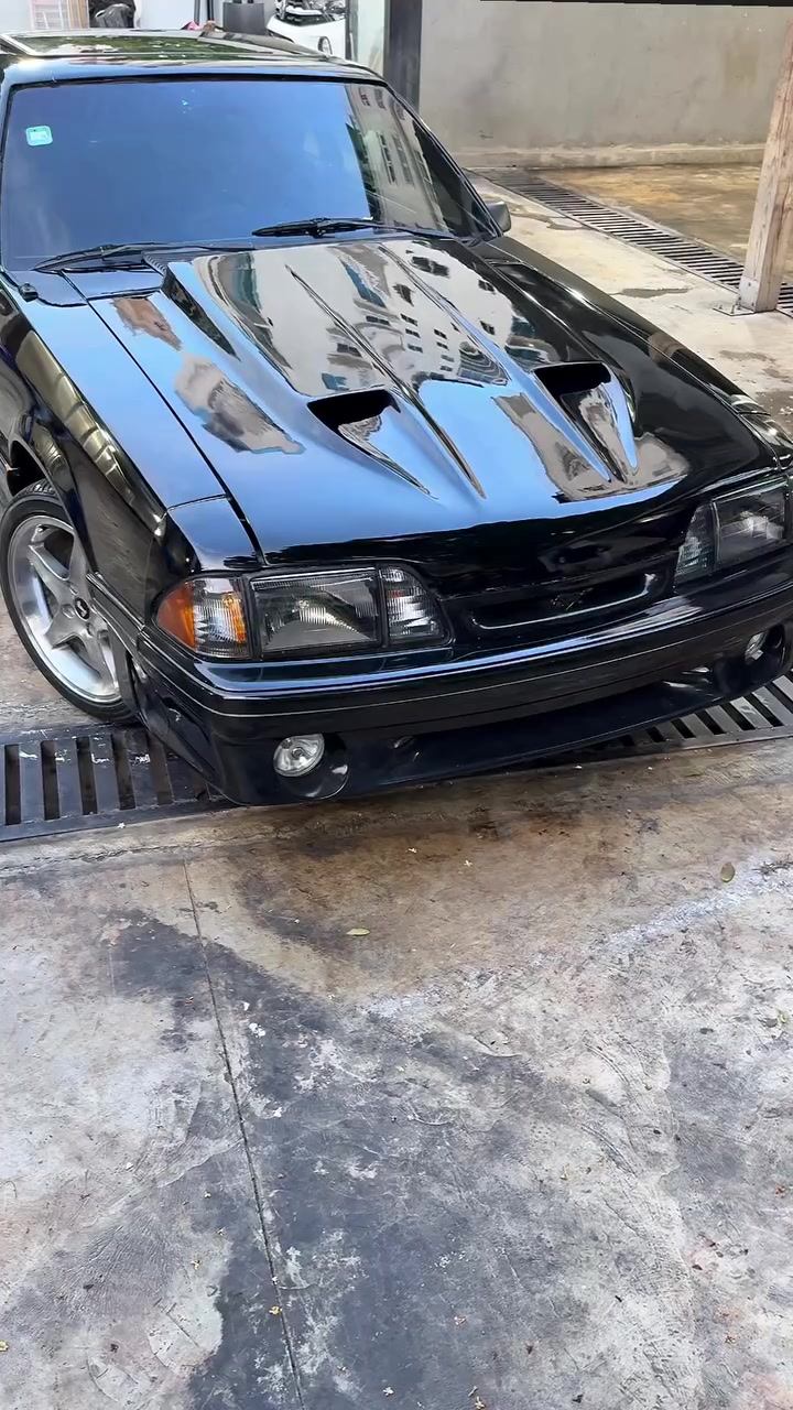 @Cocodrilo Auto Detailing
