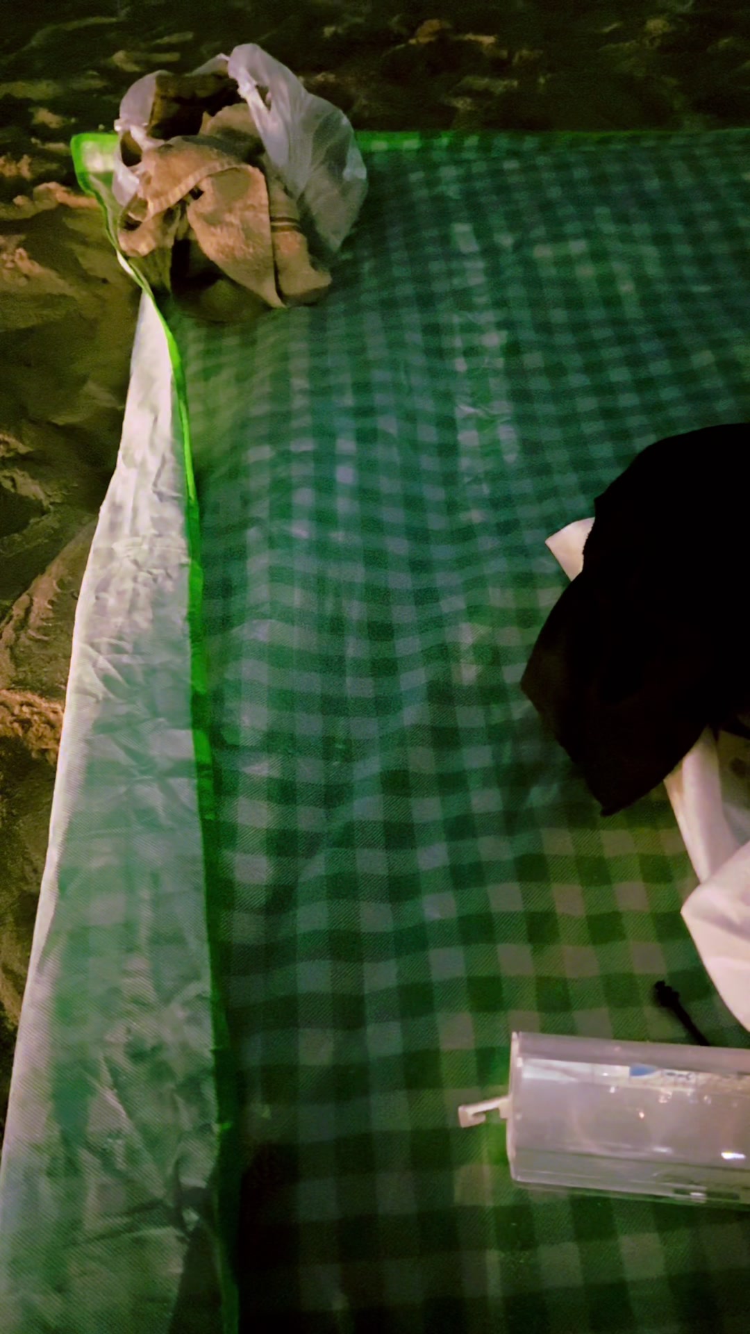 @forevergreen01