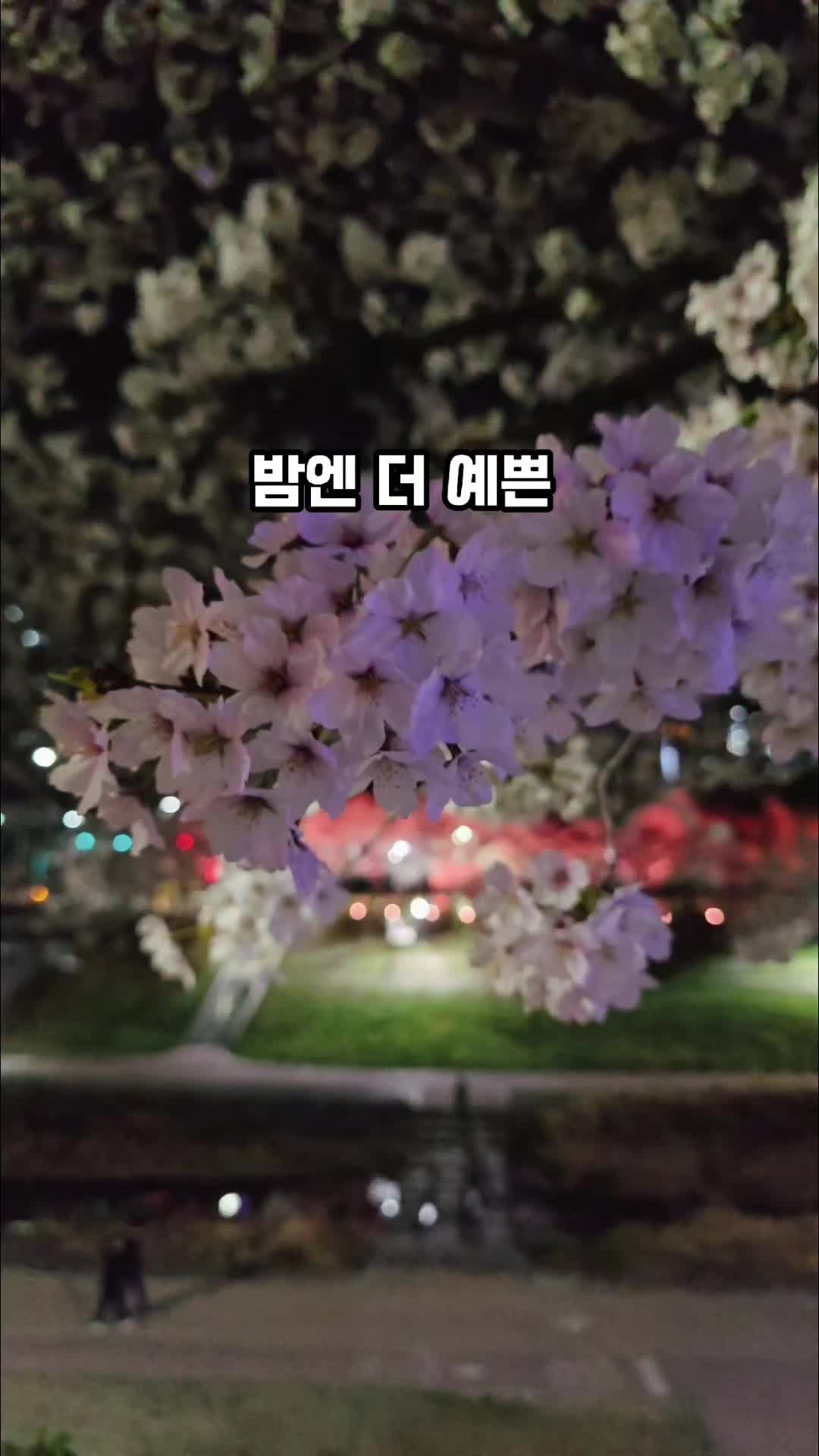 @포포