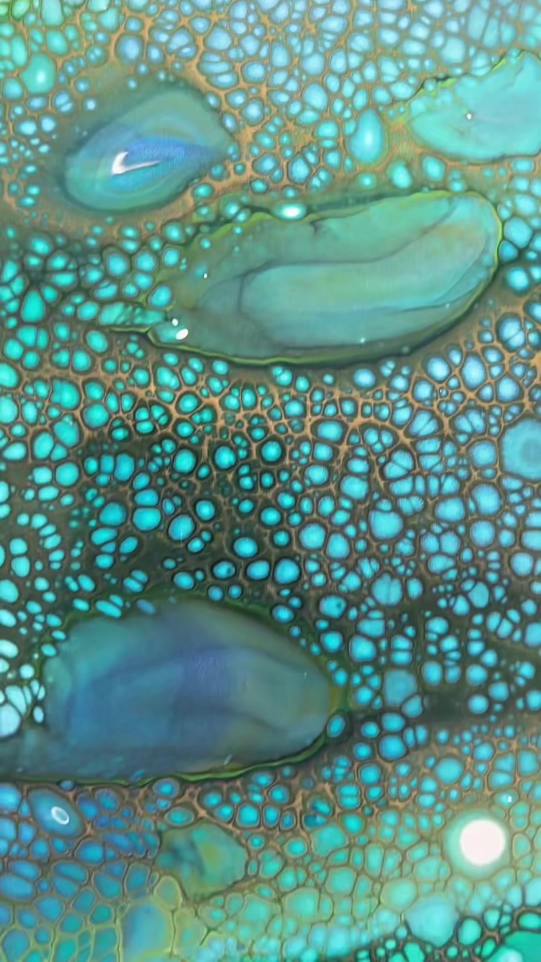 @kimjamesonart