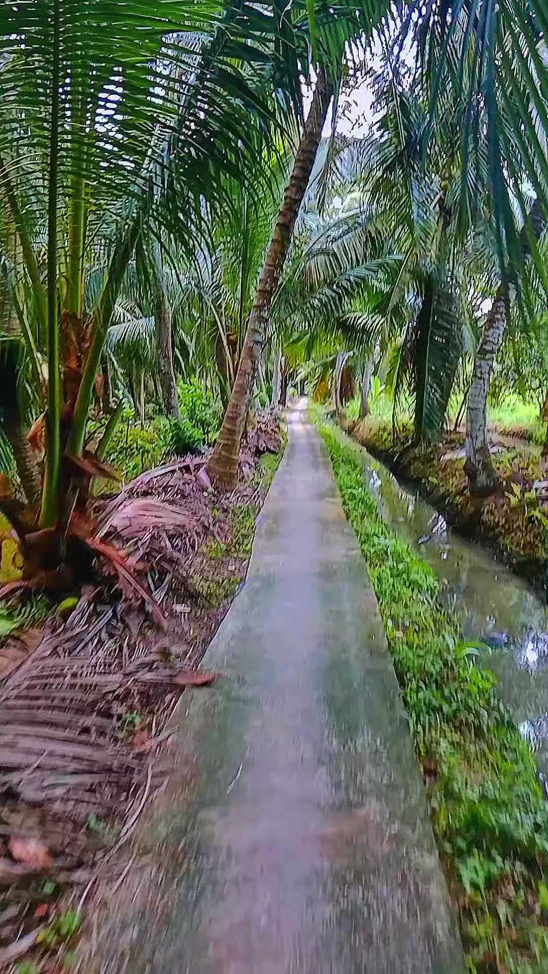 @Tầng