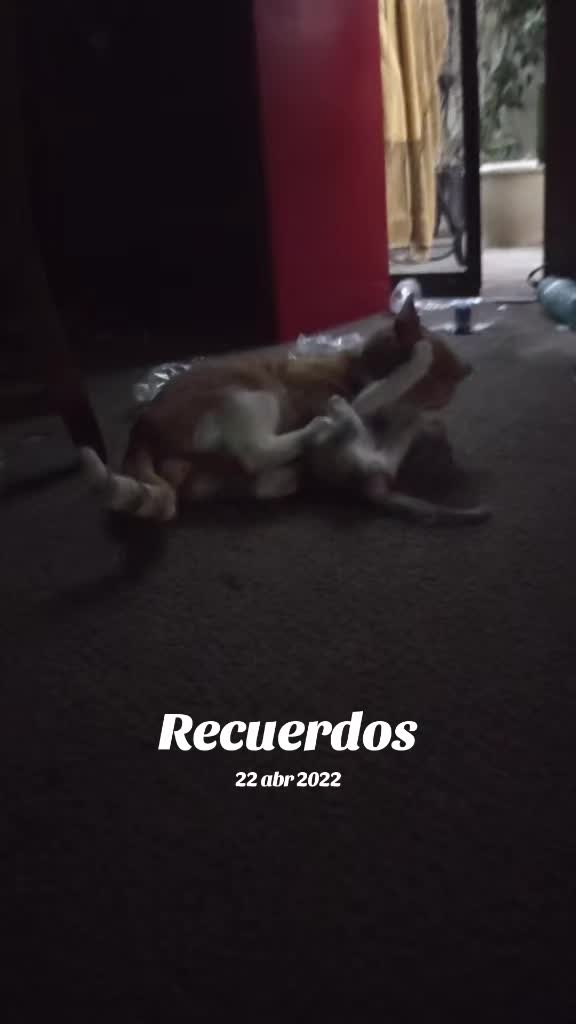 @Amor de dios