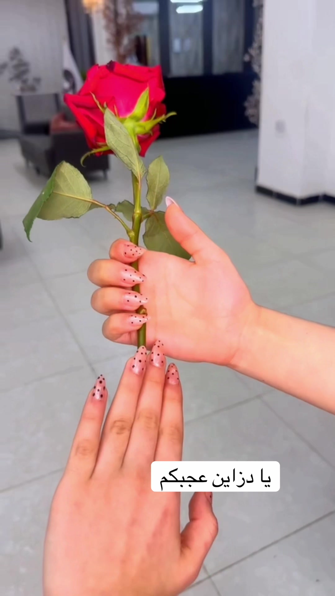 @الكوافير حسام 💇&zwj;♀️
