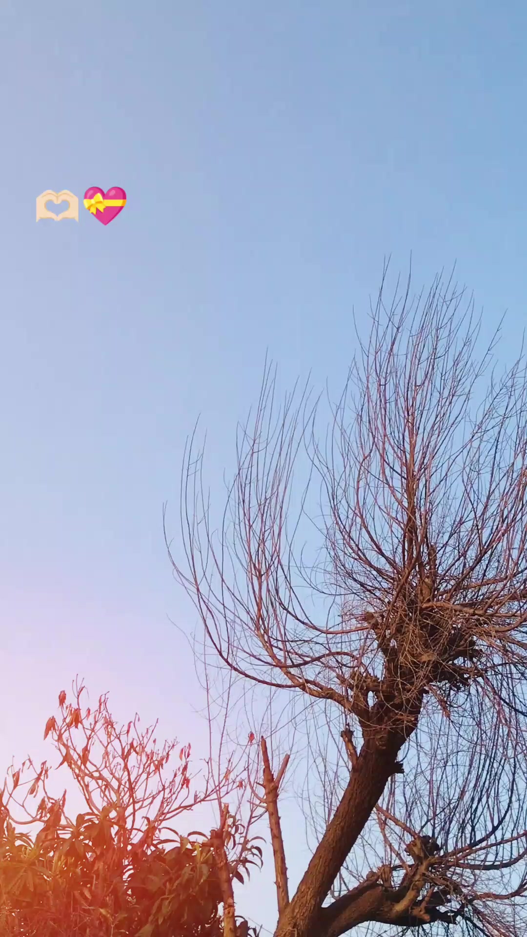 @👈🏻👑﴿شیبی_♣️_ ملک} ❤️🩹👉🏻