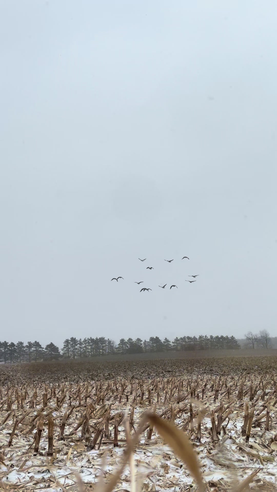 @wisco_outdoorsman