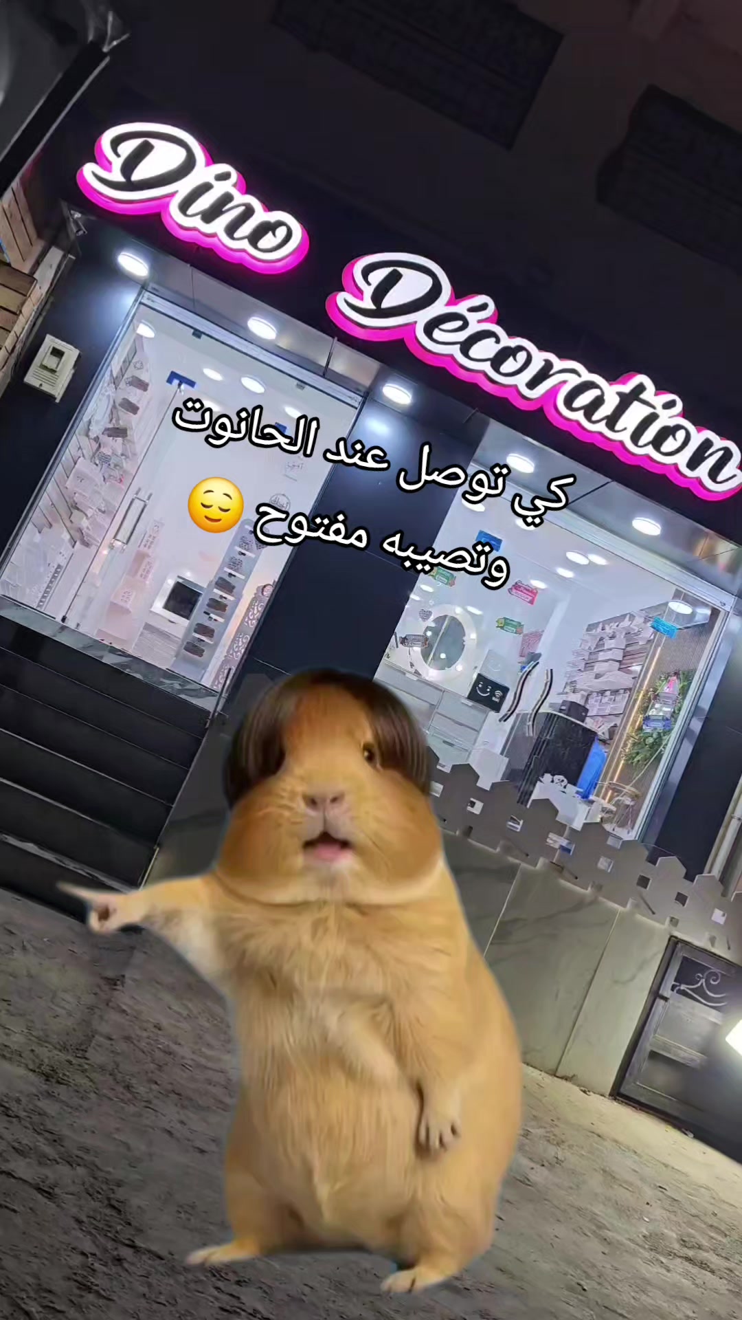 @Dino D&eacute;coration SBA