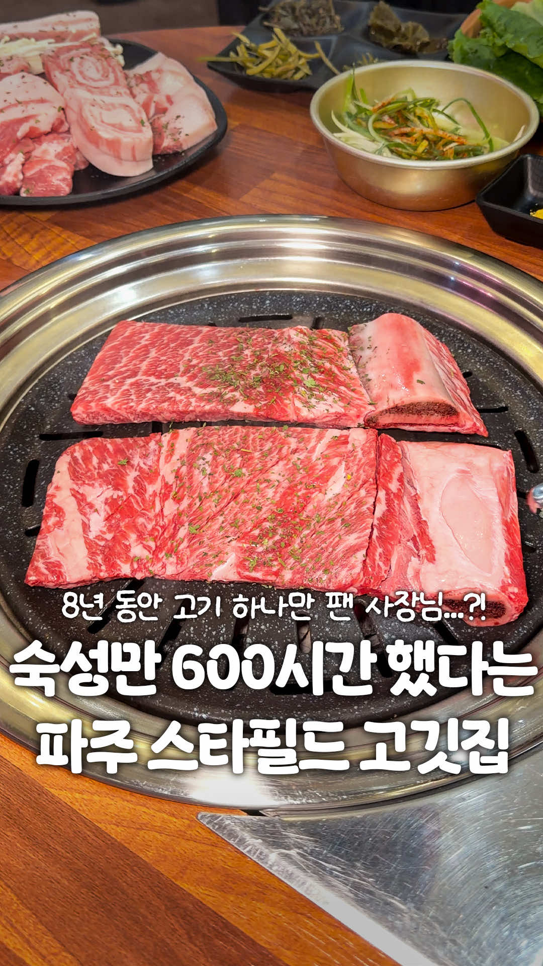 @일산갈고양