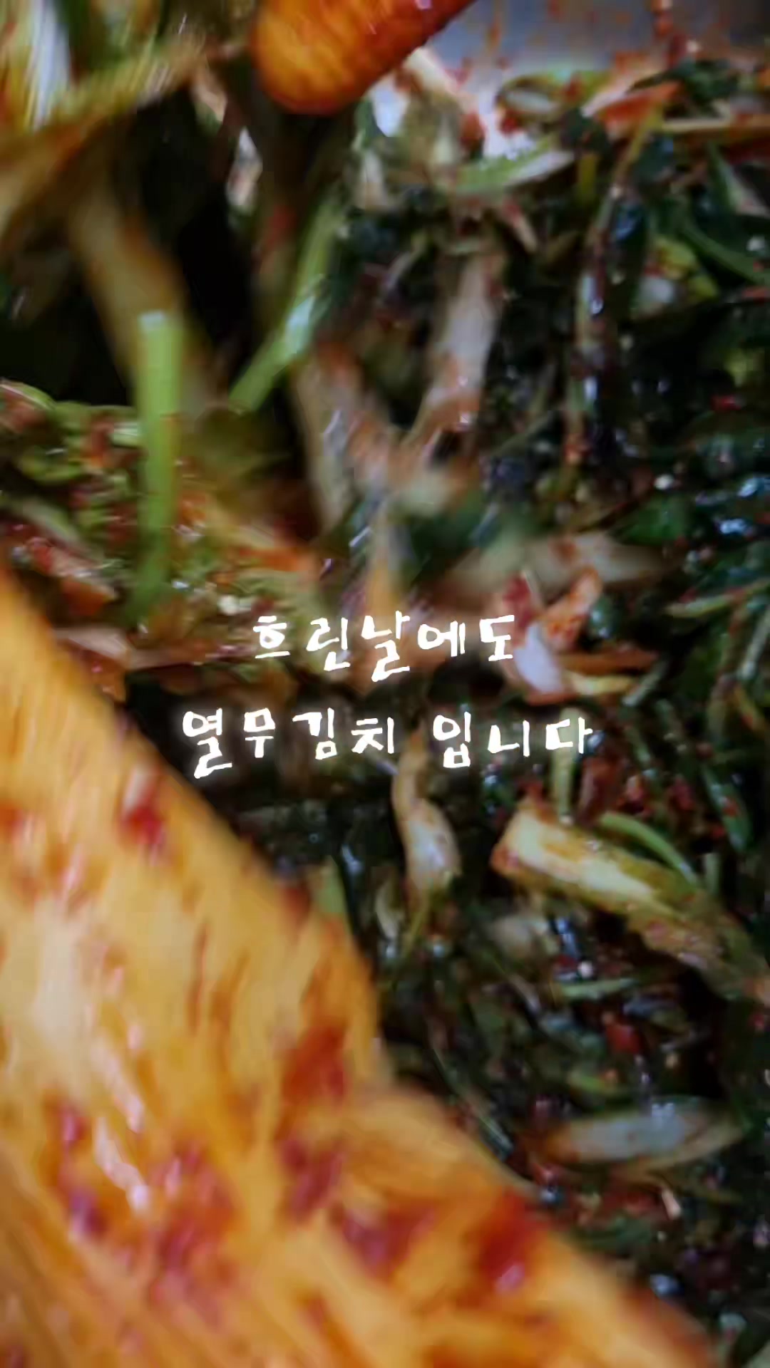 @김치클래식 서울강서점