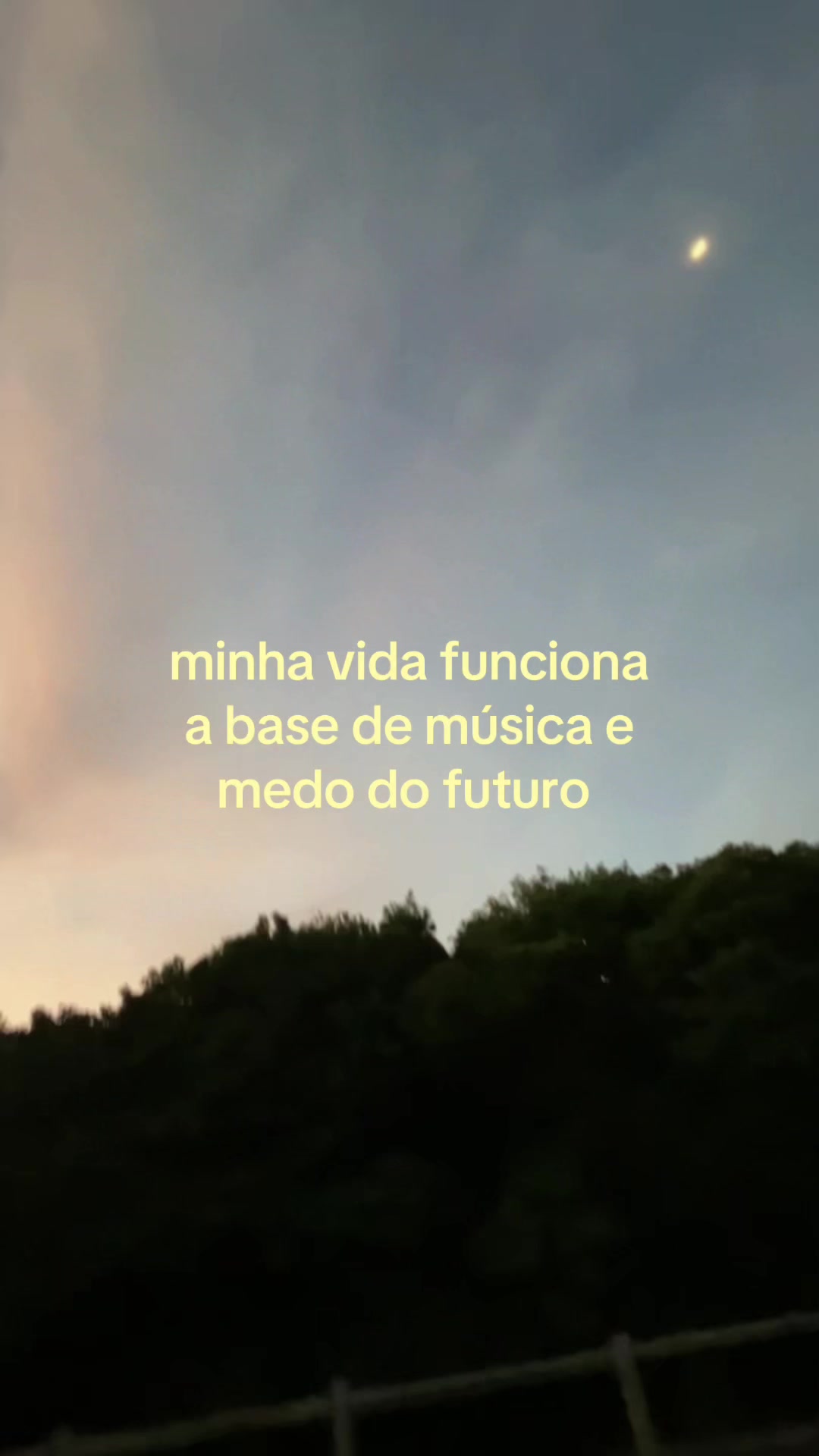 @eduarda amorim