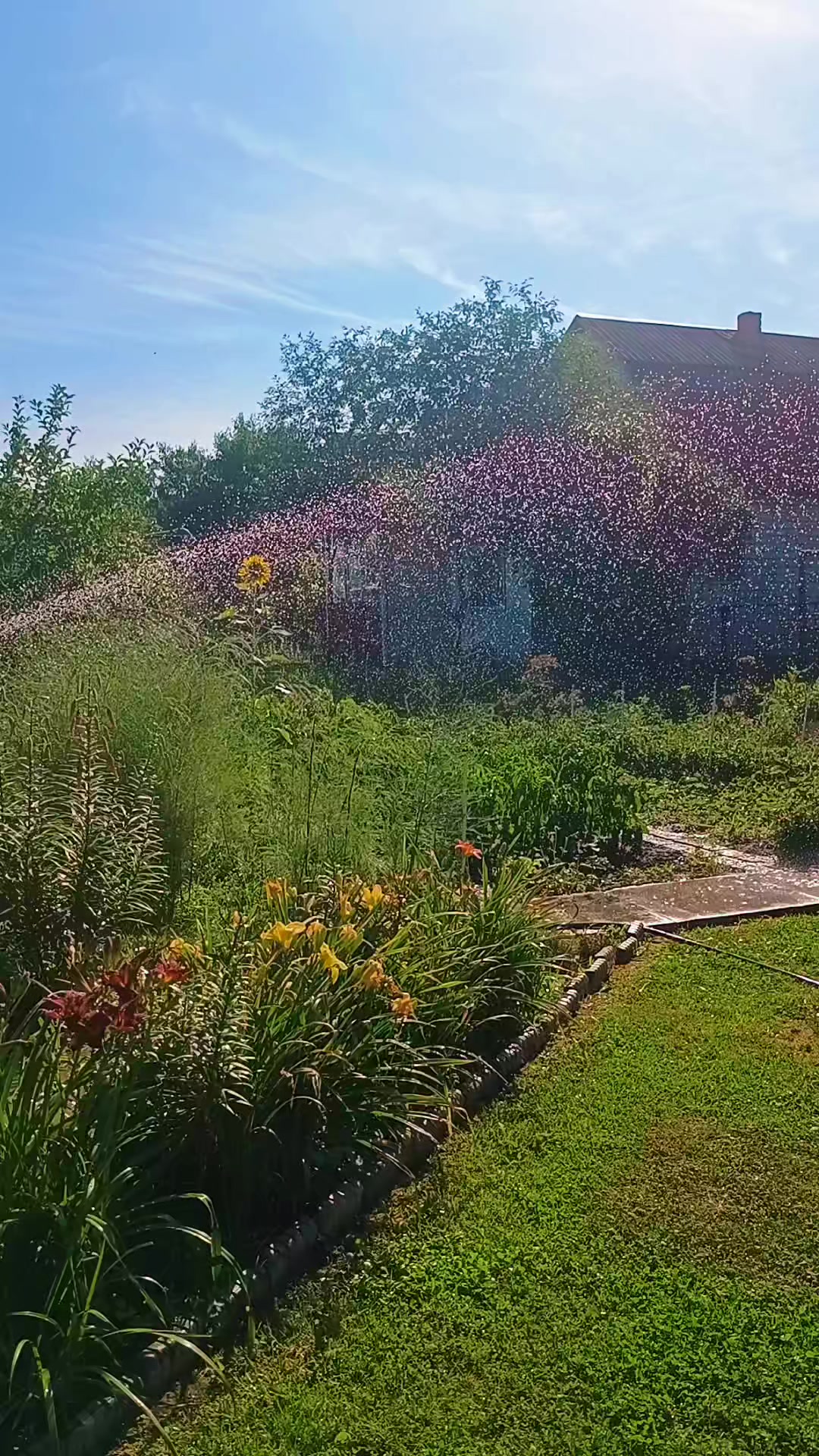 @ксюшик💙💛