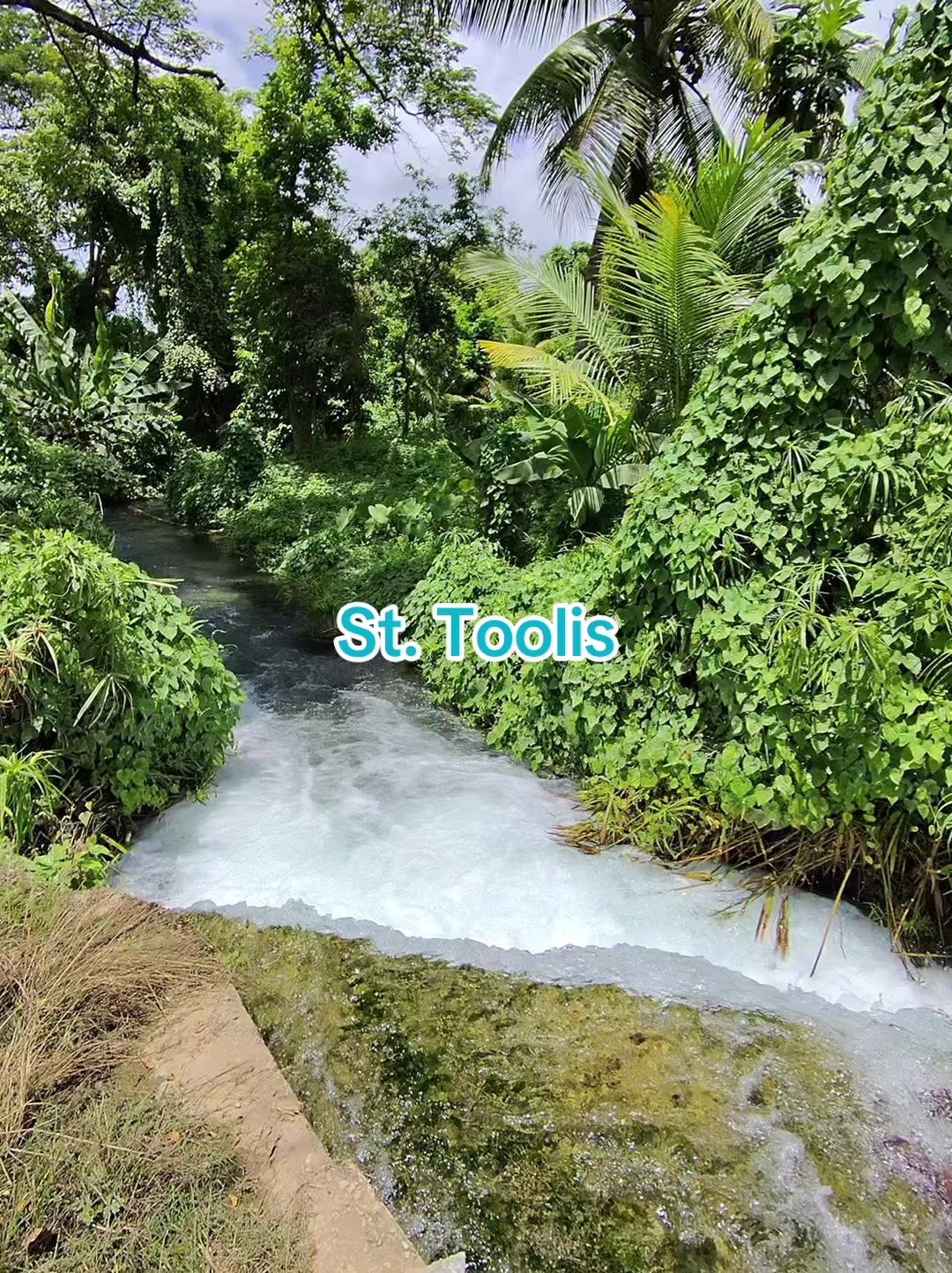 @jamaicasurveyors