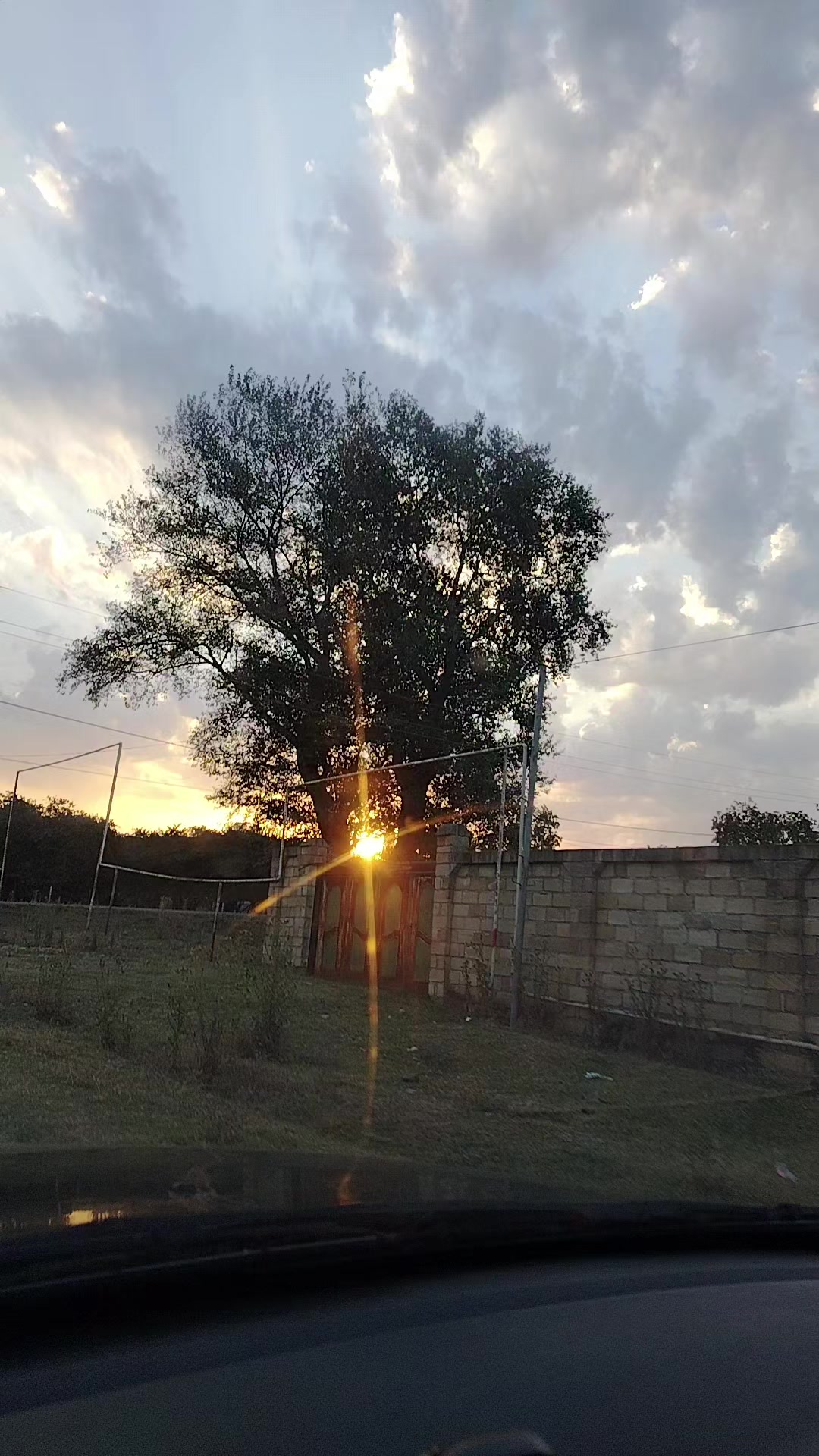 @RÖYAL_ƏHMƏDOGLU