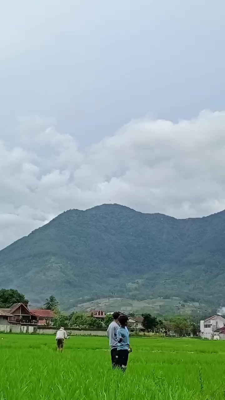 @PUTRA BUNGSU GARUT_D