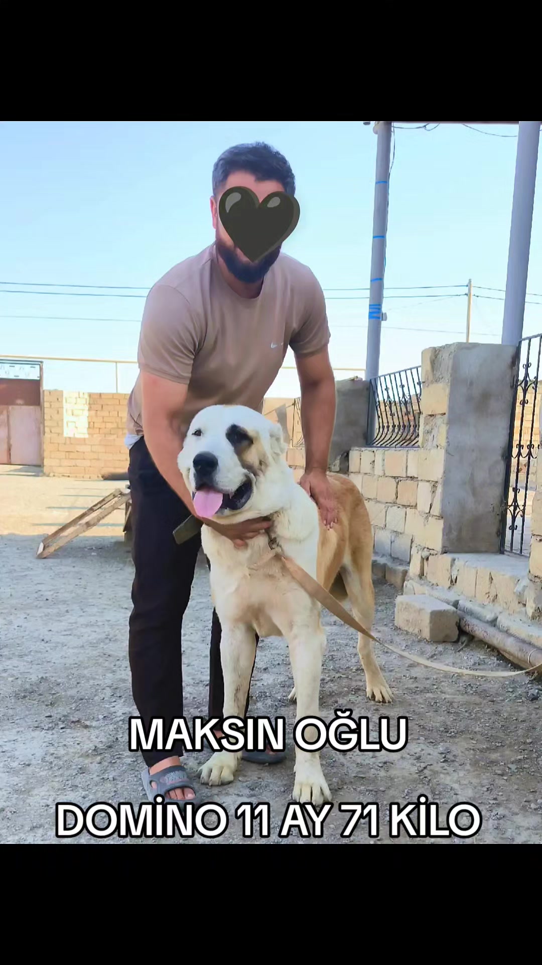 @Elşad__007