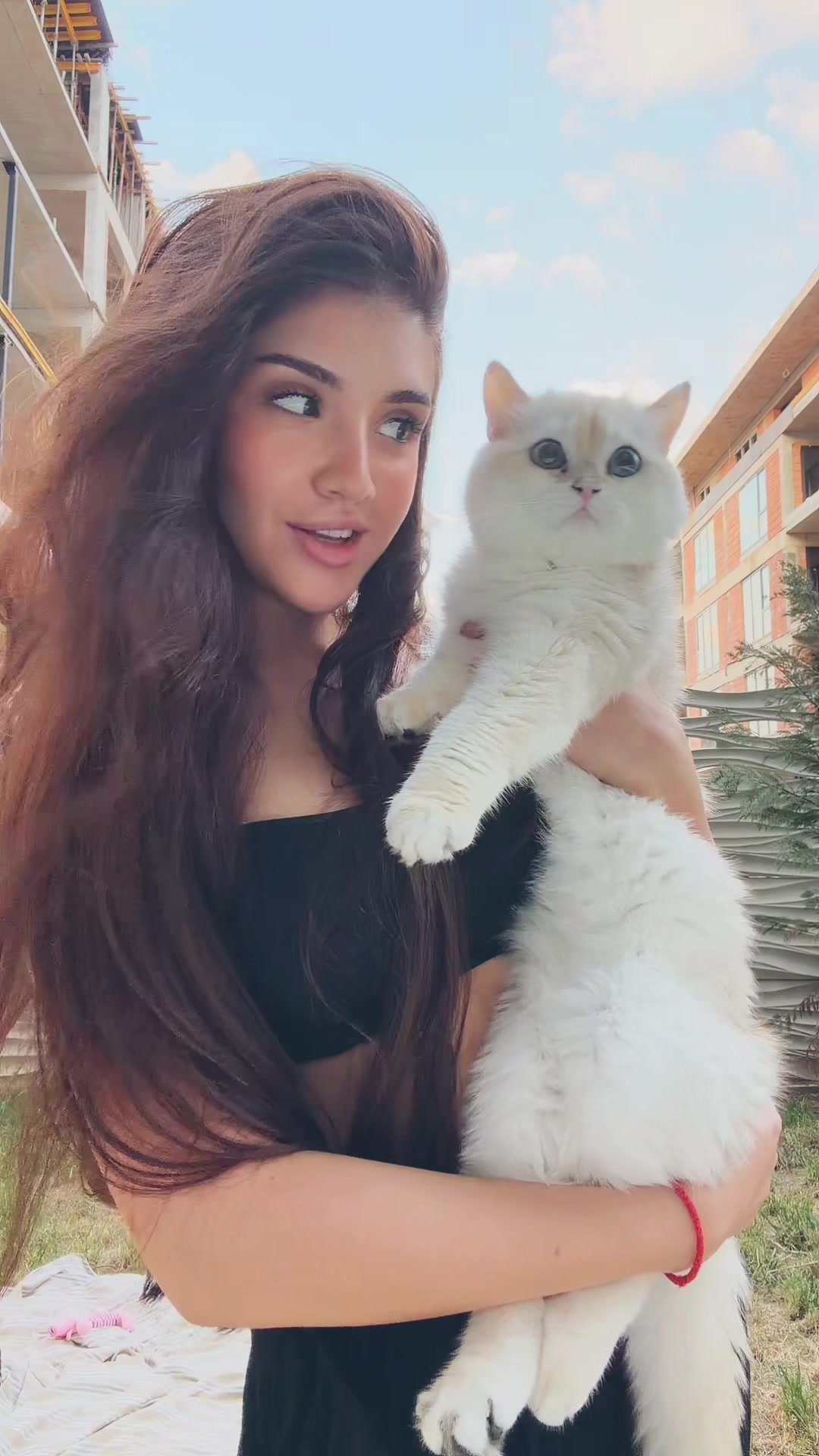 @Vlada