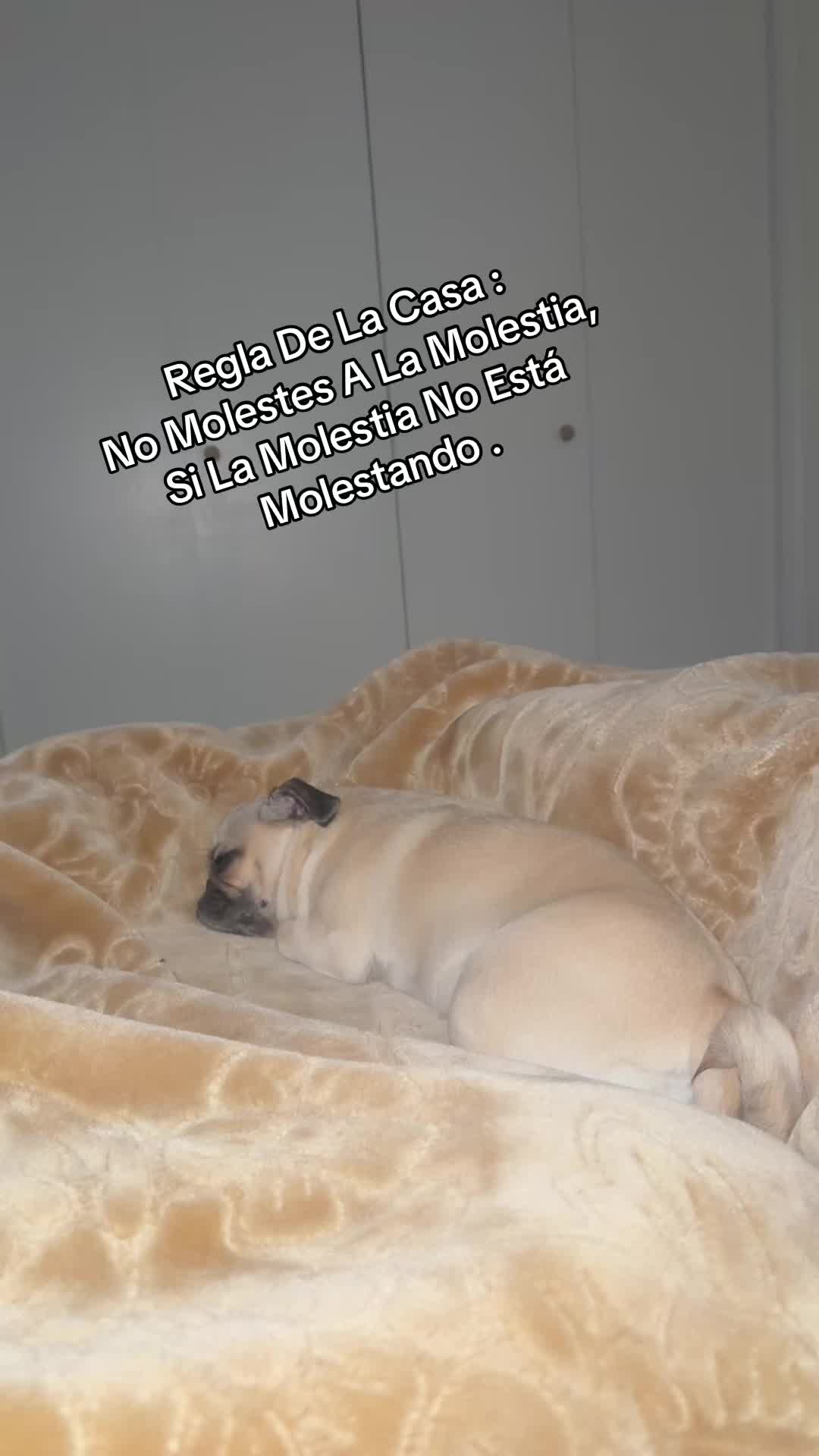 @Gina Paola Torres621