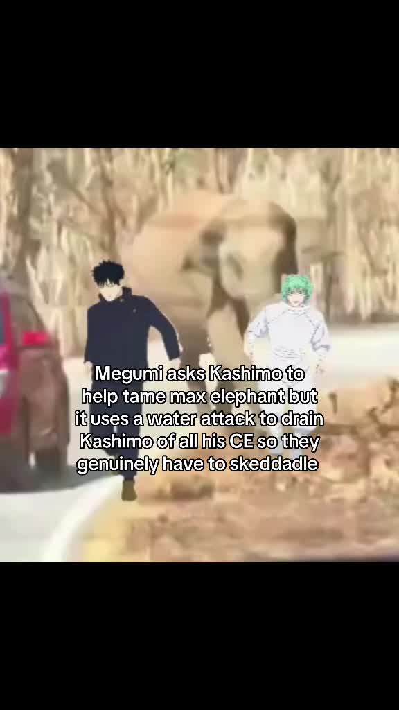 @Milkies/Echidna