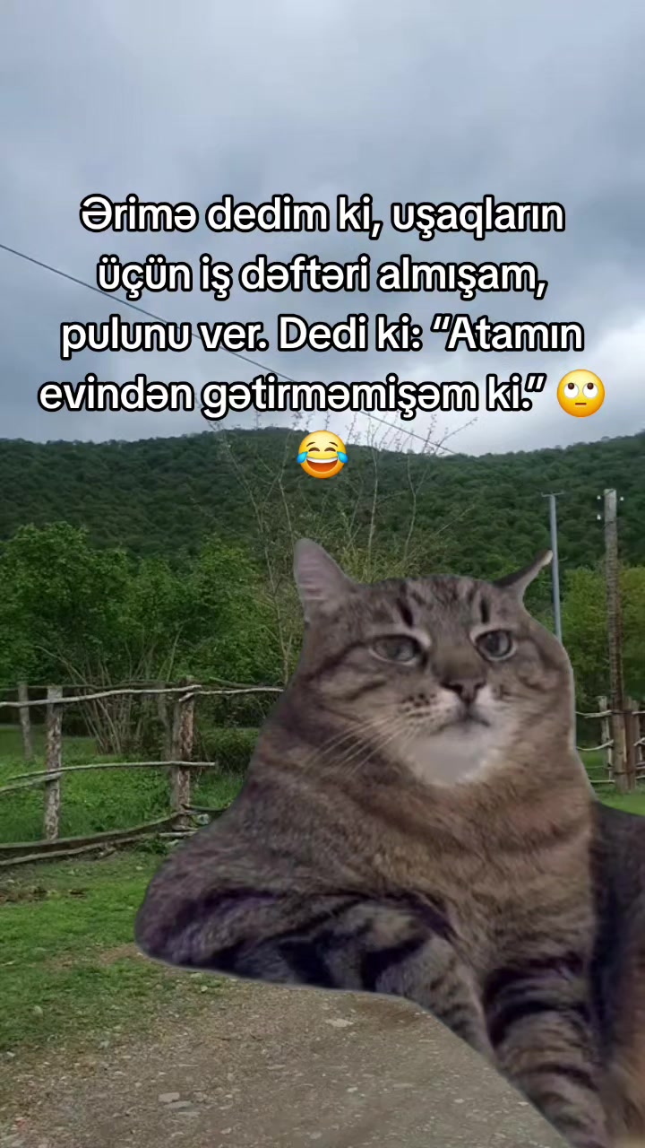 @isayeva_f
