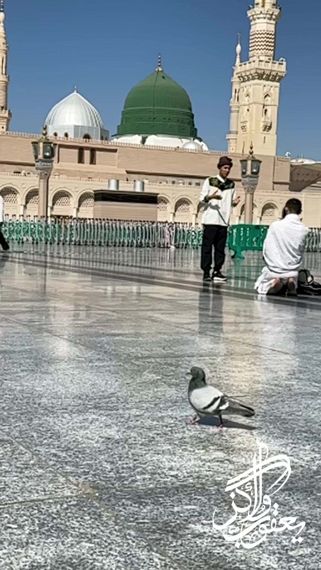 @Yaqoob