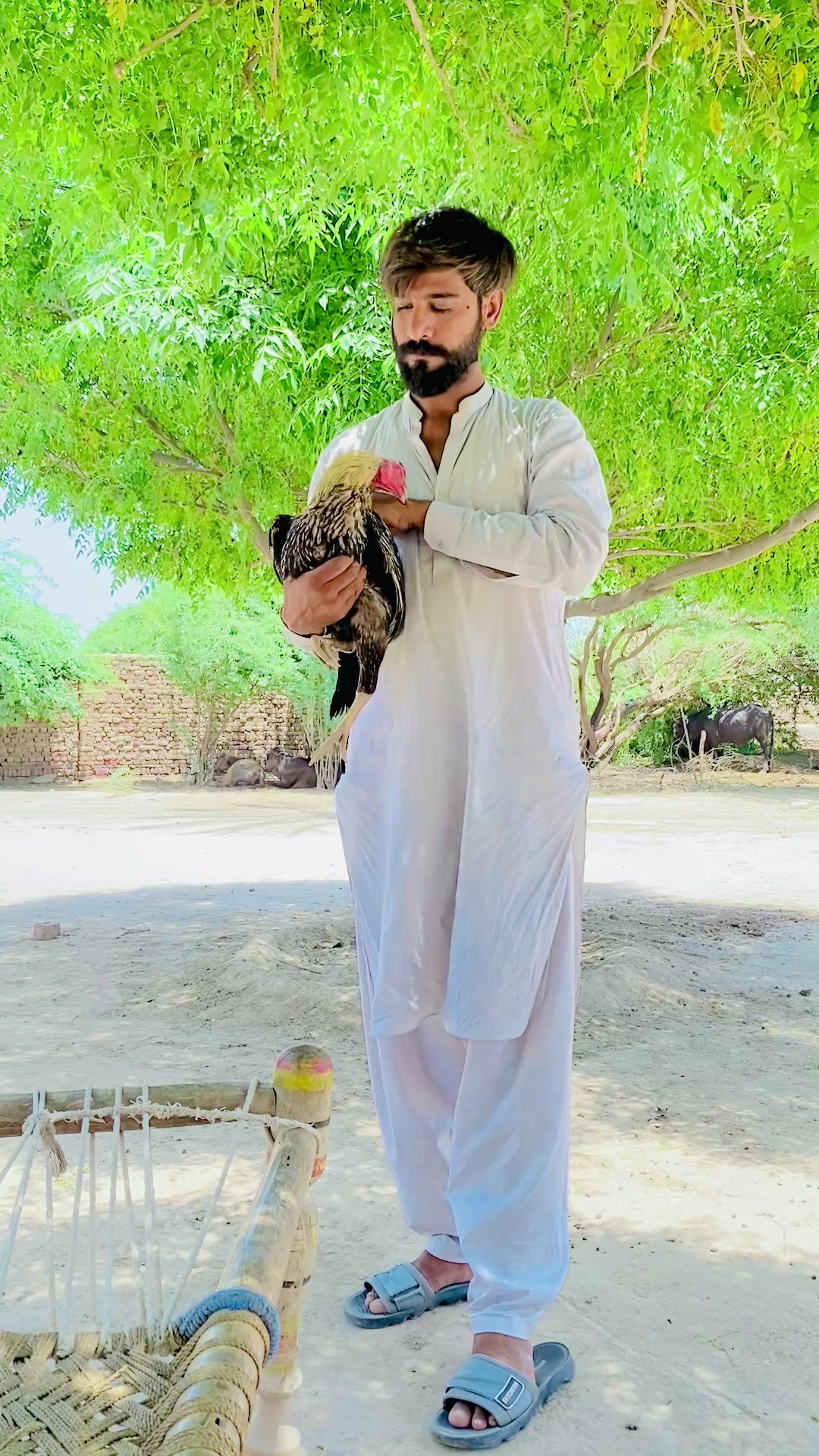 @Mahar Ajmal jutta