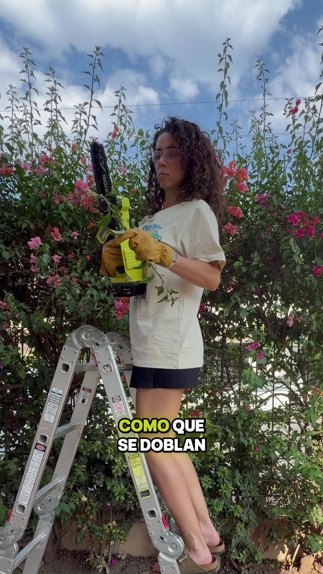 @Mariana Guerrero Ramírez