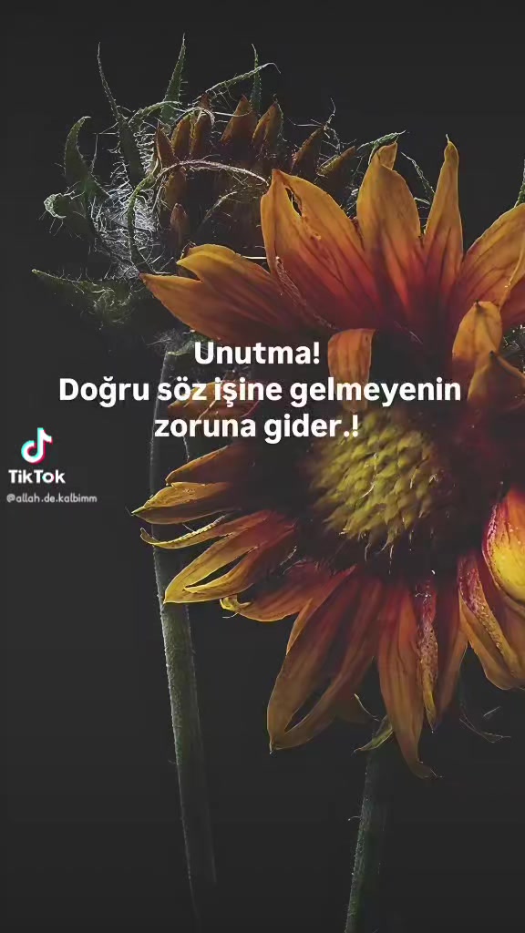 @Meryem yldz